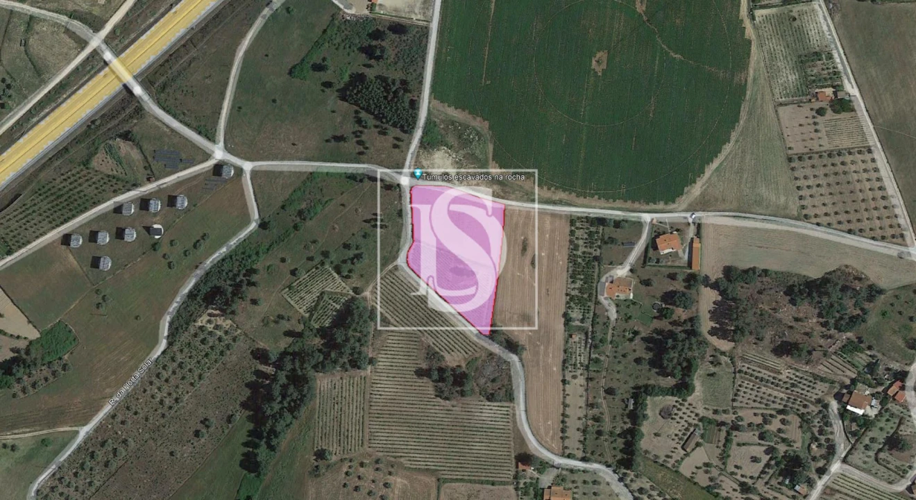 Terreno para Venda em Ferro Foto 10