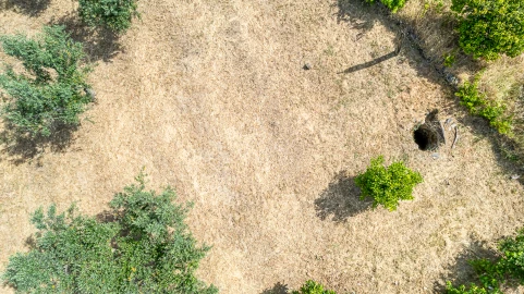 Terreno para Venda em Sarzedas