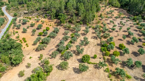 Terreno para Venda em Sarzedas