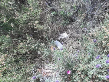 Terreno para Venda em Sarzedas