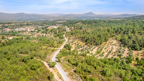 Terreno para Venda em Sarzedas