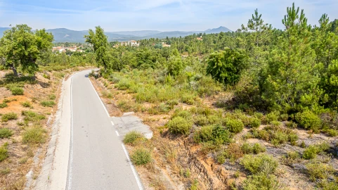 Terreno para Venda em Sarzedas