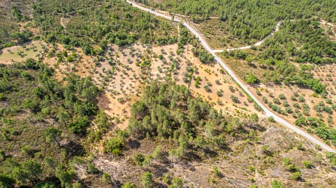 Terreno para Venda em Sarzedas