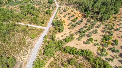 Terreno para Venda em Sarzedas