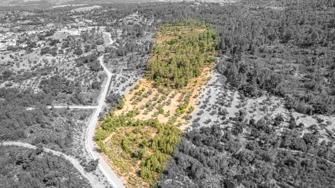 Terreno para Venda em Sarzedas