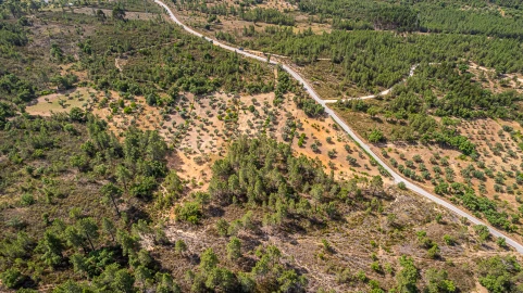 Terreno para Venda em Sarzedas