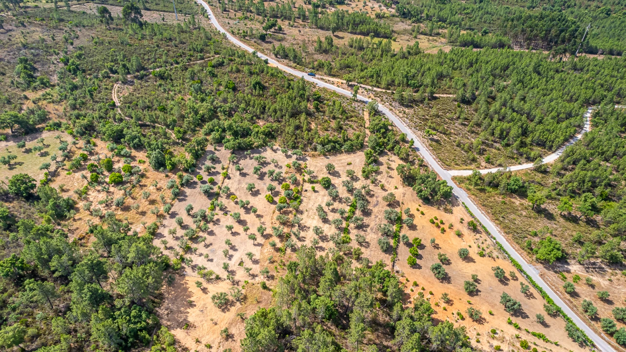 Terreno para Venda em Sarzedas Foto 15