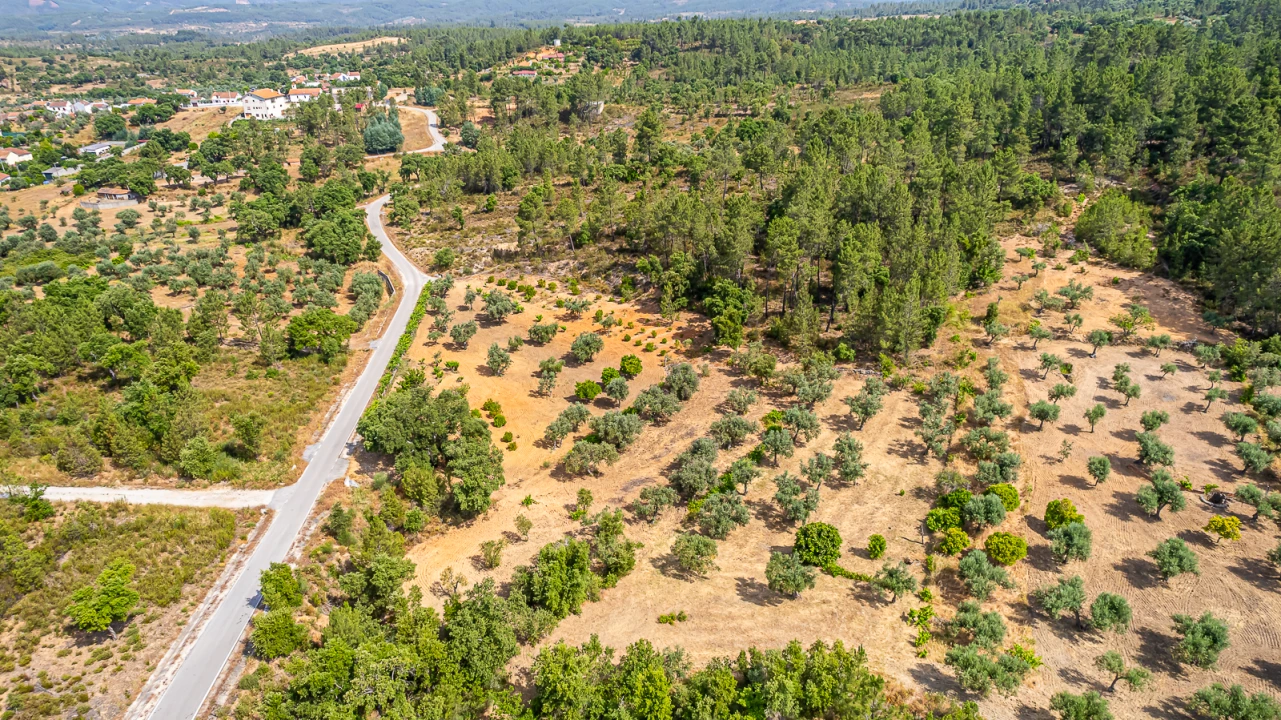 Terreno para Venda em Sarzedas Foto 8