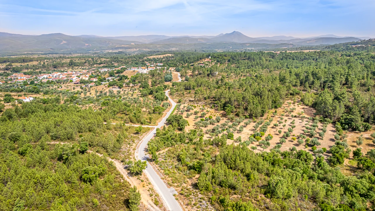 Terreno para Venda em Sarzedas Foto 30