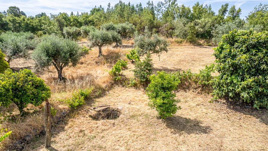 Terreno para Venda em Sarzedas Foto 4