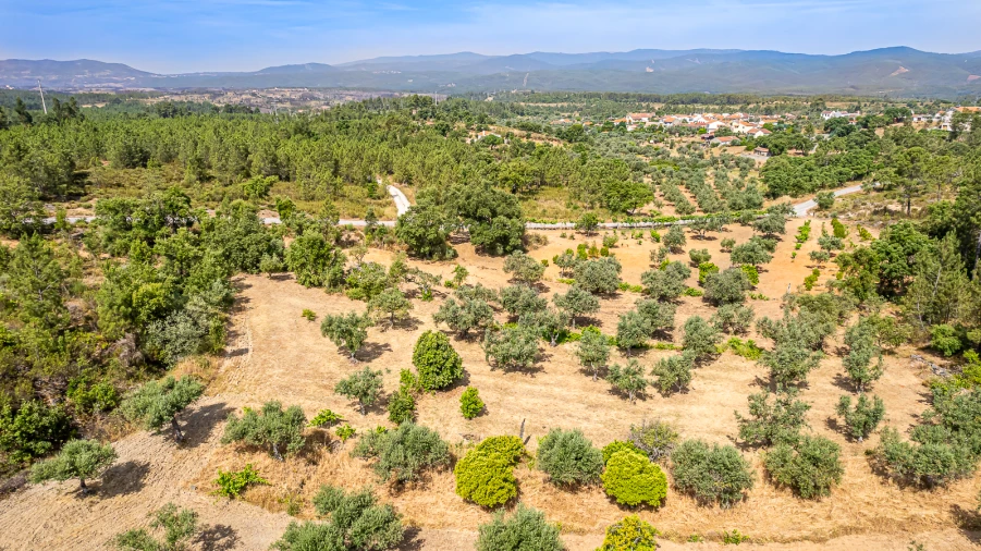 Terreno para Venda em Sarzedas Foto 32