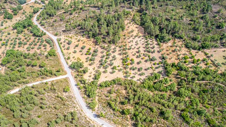 Terreno para Venda em Sarzedas Foto 34