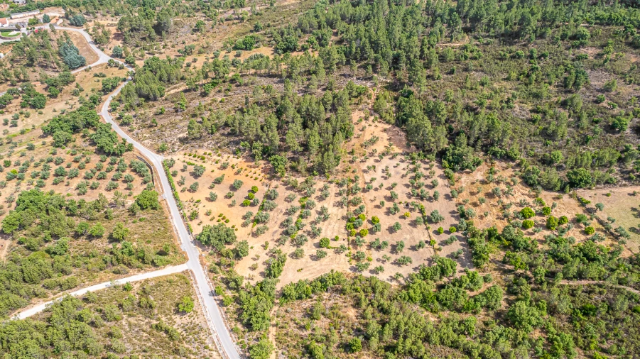 Terreno para Venda em Sarzedas Foto 13