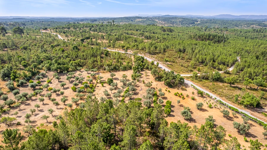 Terreno para Venda em Sarzedas Foto 9