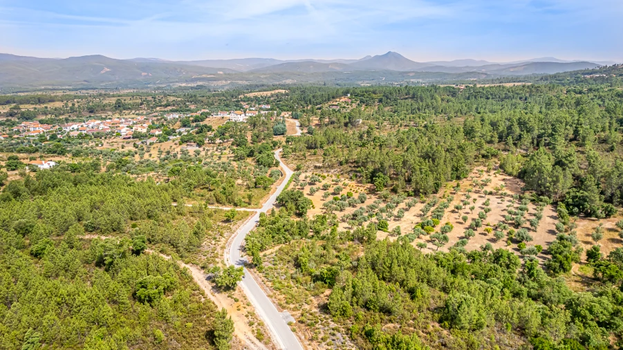 Terreno para Venda em Sarzedas Foto 30