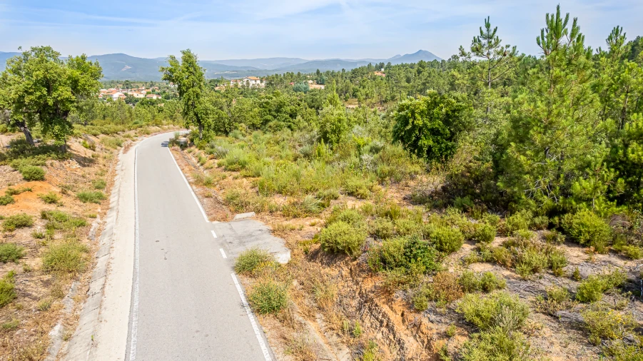 Terreno para Venda em Sarzedas Foto 11