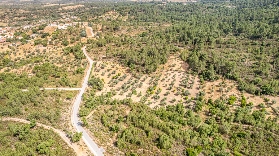 Terreno para Venda em Sarzedas Foto 12