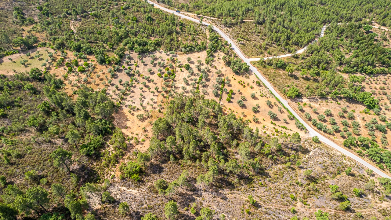 Terreno para Venda em Sarzedas Foto 35