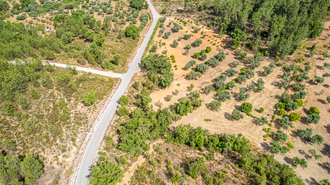 Terreno para Venda em Sarzedas Foto 33