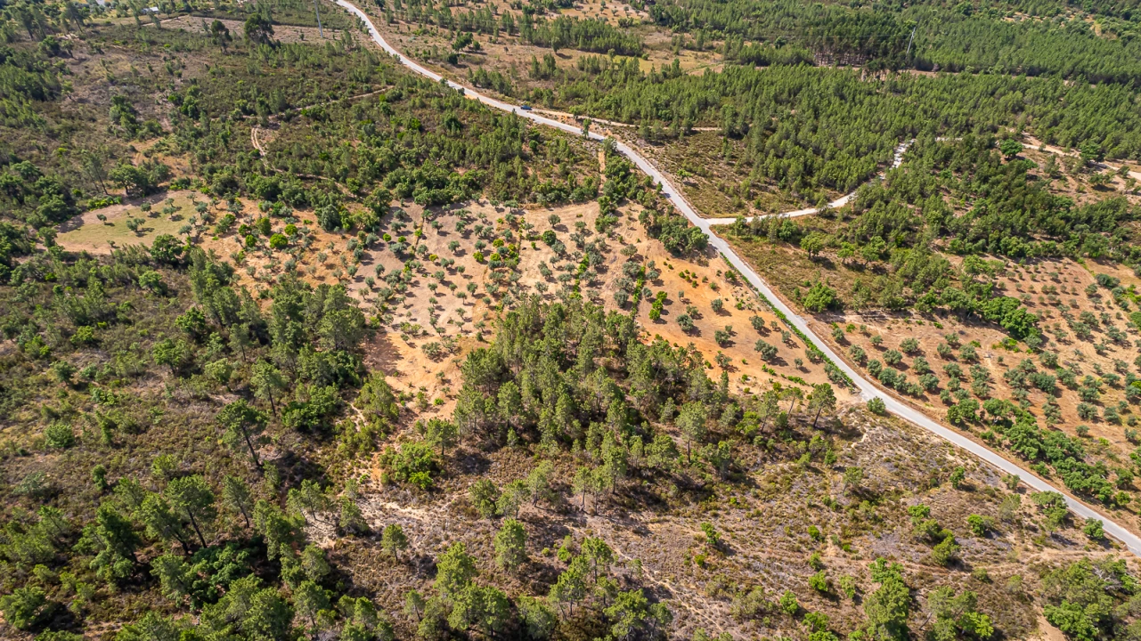 Terreno para Venda em Sarzedas Foto 14