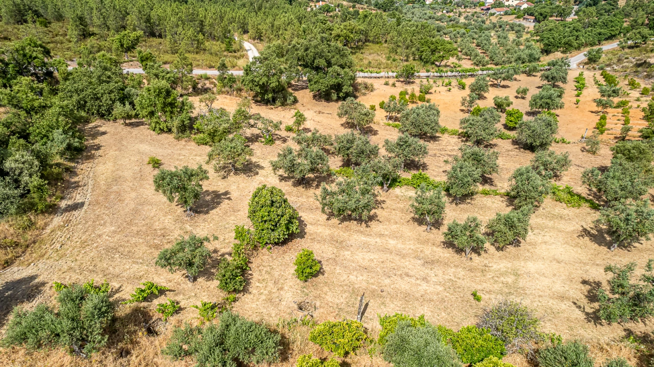 Terreno para Venda em Sarzedas Foto 36