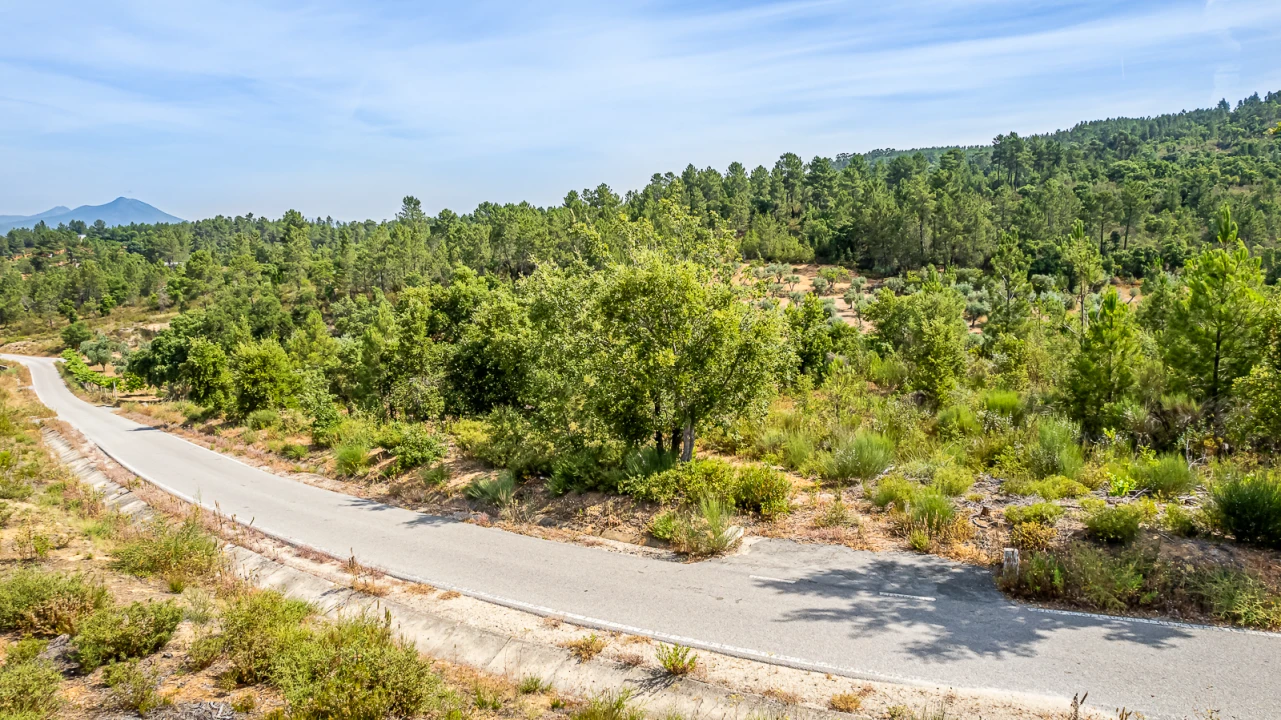 Terreno para Venda em Sarzedas Foto 29