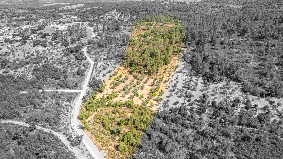 Terreno para Venda em Sarzedas