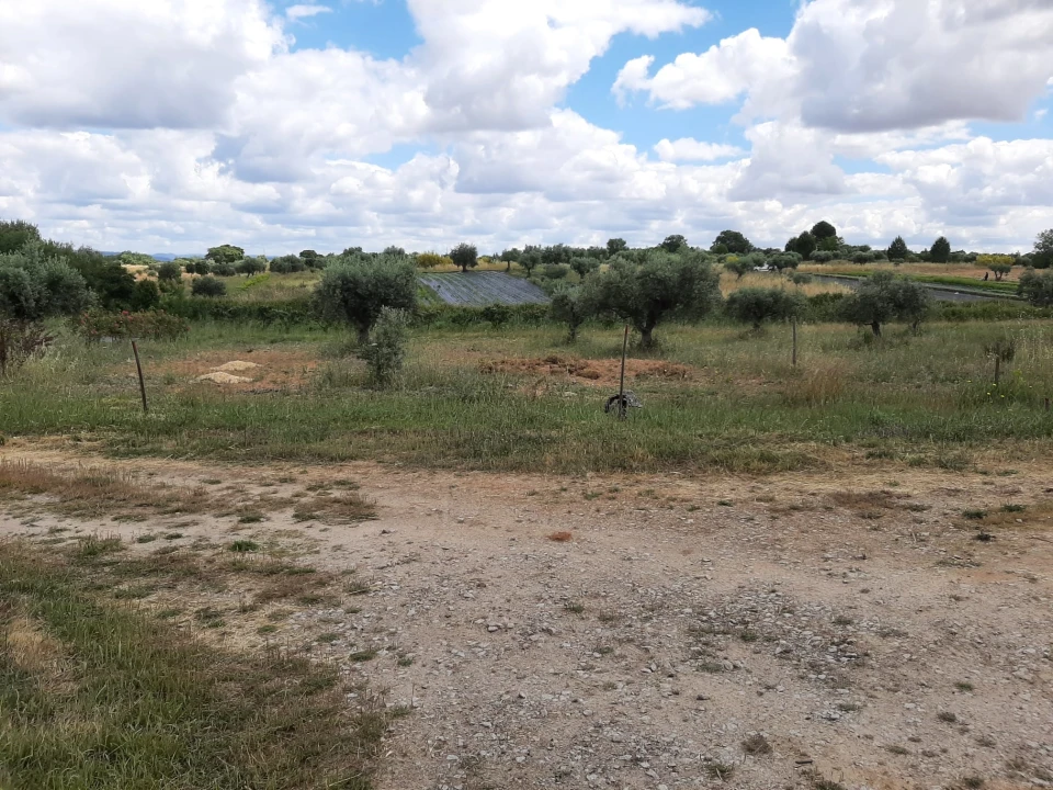 Quinta T0 para Venda em Ladoeiro Foto 4