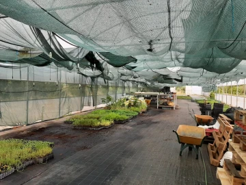 Quinta T0 para Venda em Ladoeiro