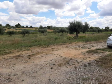 Quinta T0 para Venda em Ladoeiro