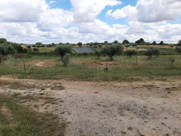 Quinta T0 para Venda em Ladoeiro