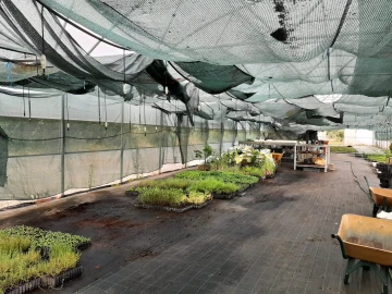 Quinta T0 para Venda em Ladoeiro