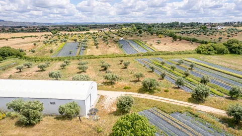 Quinta T0 para Venda em Ladoeiro