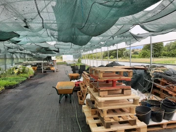 Quinta T0 para Venda em Ladoeiro