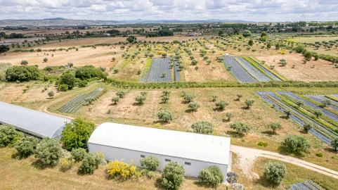 Quinta T0 para Venda em Ladoeiro