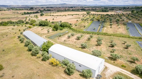Quinta T0 para Venda em Ladoeiro