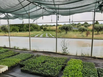 Quinta T0 para Venda em Ladoeiro