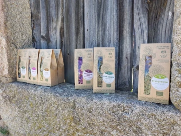 Quinta T0 para Venda em Ladoeiro