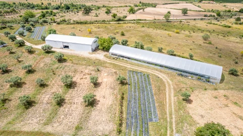 Quinta T0 para Venda em Ladoeiro