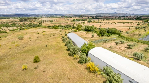 Quinta T0 para Venda em Ladoeiro