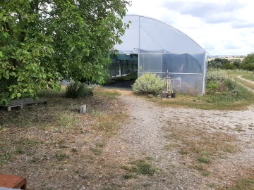 Quinta T0 para Venda em Ladoeiro