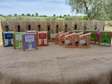 Quinta T0 para Venda em Ladoeiro