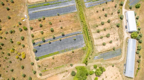 Quinta T0 para Venda em Ladoeiro