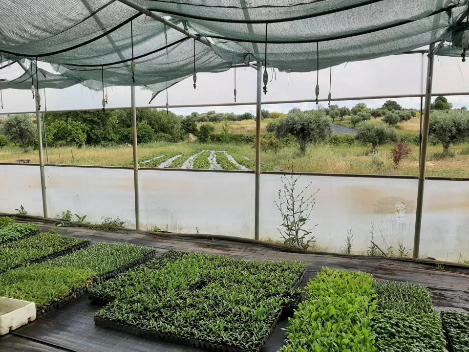 Quinta T0 para Venda em Ladoeiro Foto 8