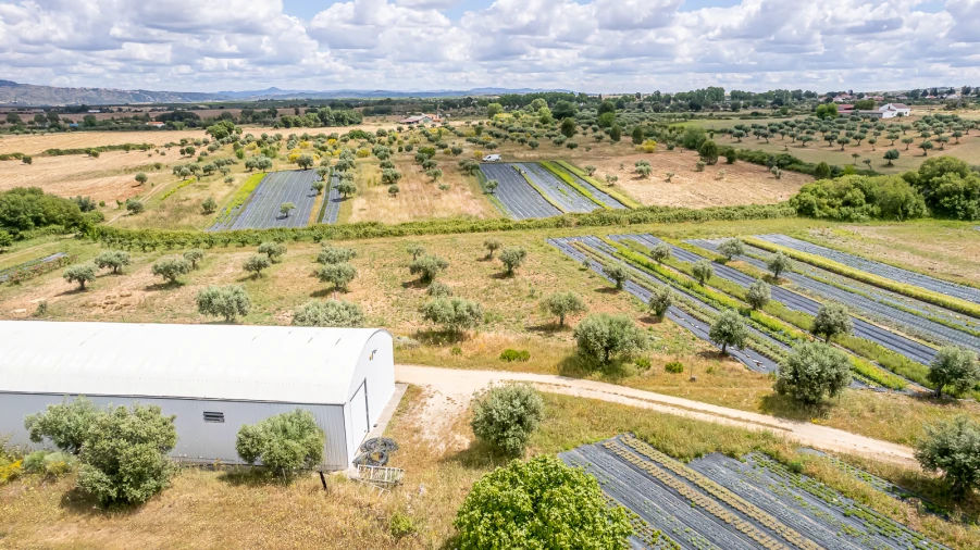 Quinta T0 para Venda em Ladoeiro Foto 18