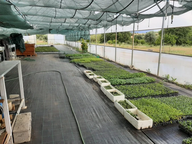 Quinta T0 para Venda em Ladoeiro Foto 2