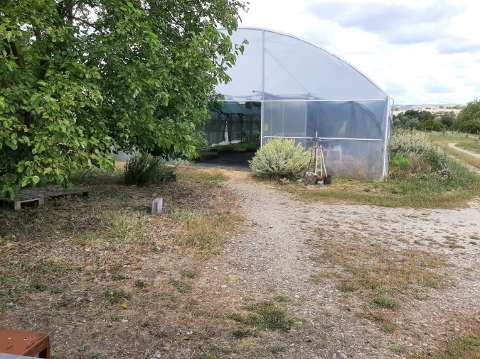 Quinta T0 para Venda em Ladoeiro Foto 10