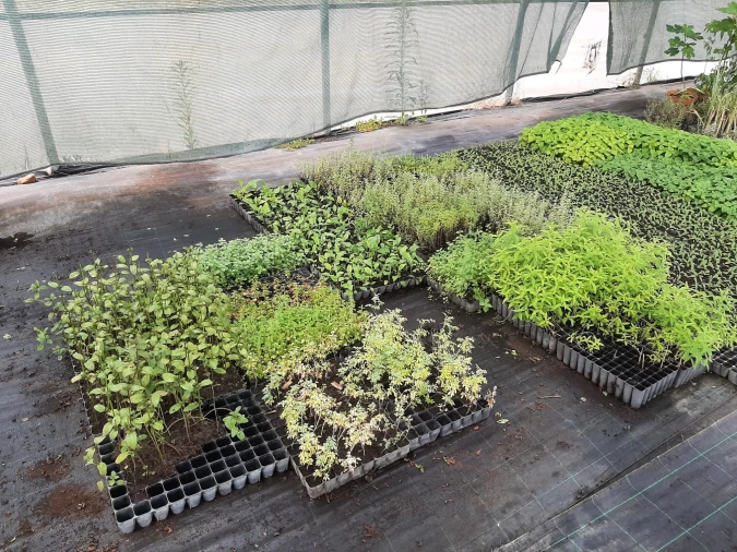 Quinta T0 para Venda em Ladoeiro Foto 11