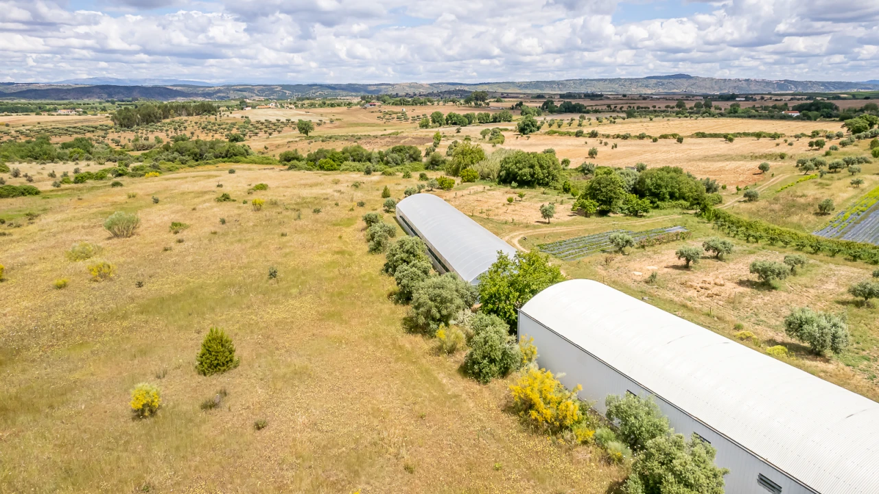 Quinta T0 para Venda em Ladoeiro Foto 17