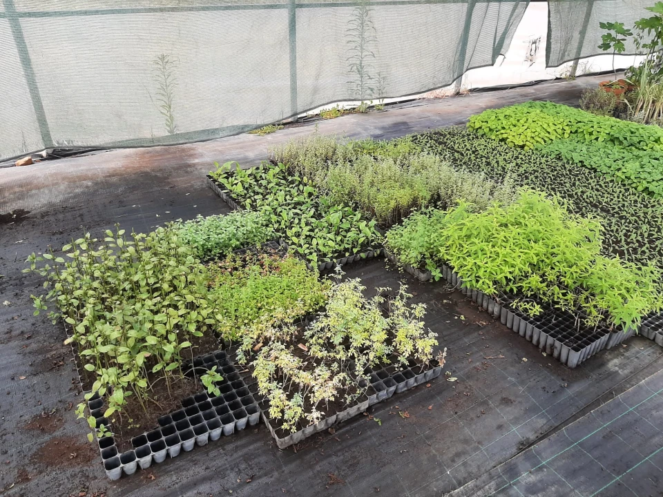 Quinta T0 para Venda em Ladoeiro Foto 11